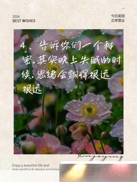 賿㲥ŵƵʲô1.ҹ˾ʱ˼賿Ƶʾ