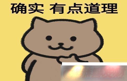 ȷʵ˸ʲôȷʵ˸˼