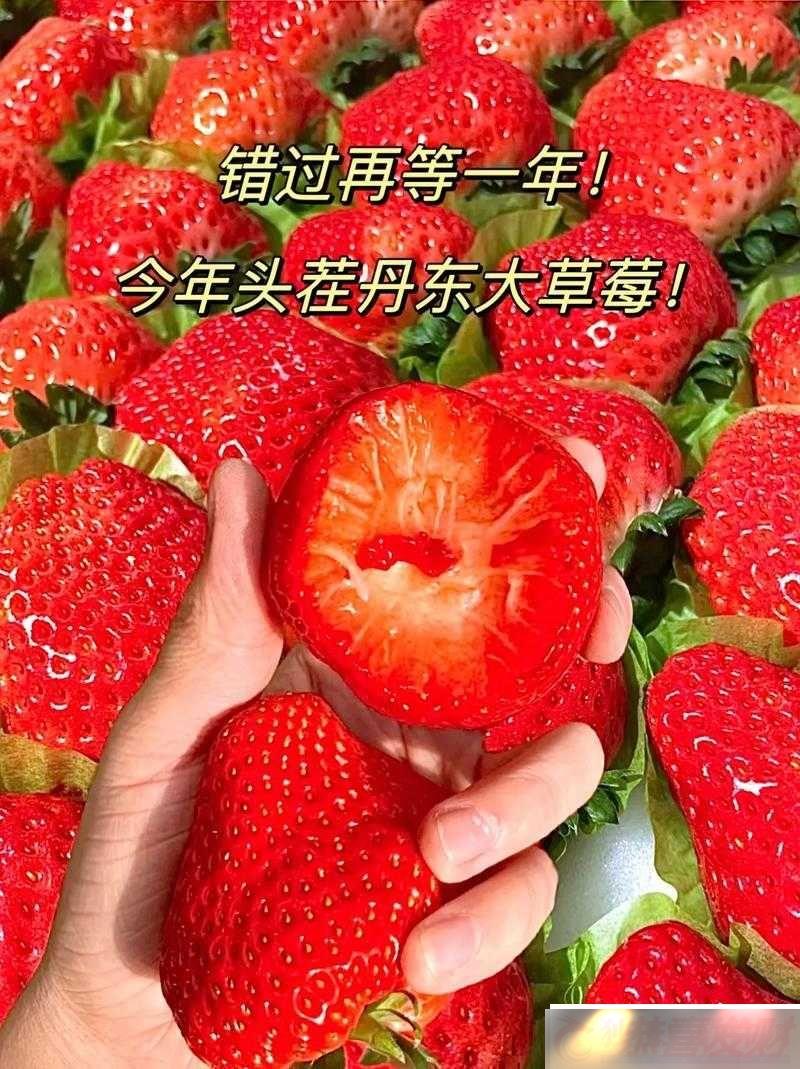 ˿ôݮСݮЧ˿̽