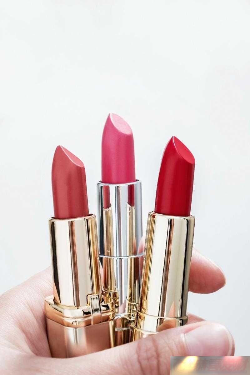 YSL-ˮɫں-B8֮ѡ