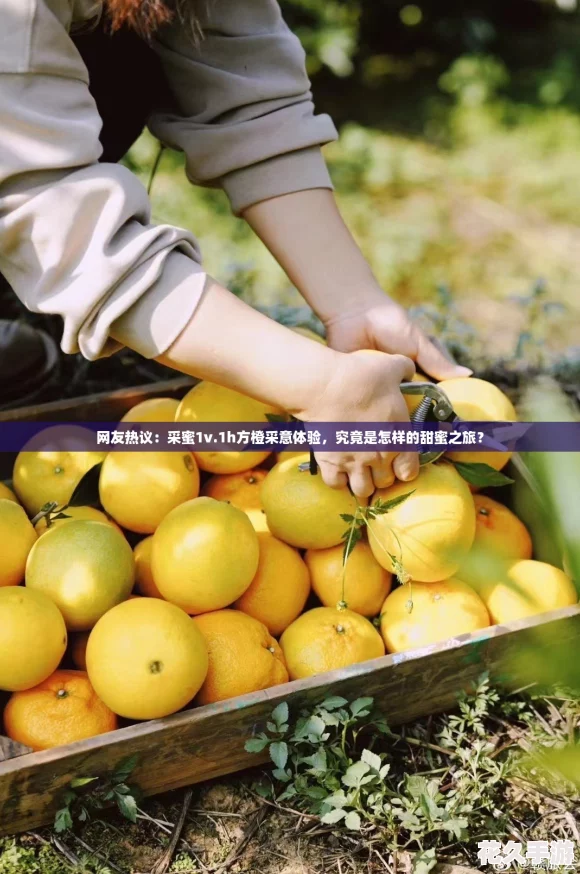 飺1v.1hȲ-֮