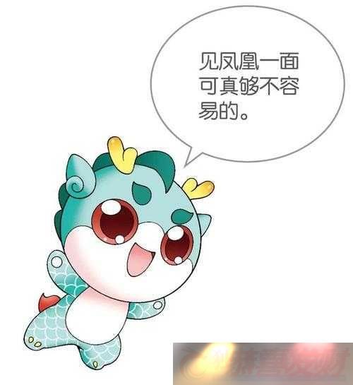̽-淨