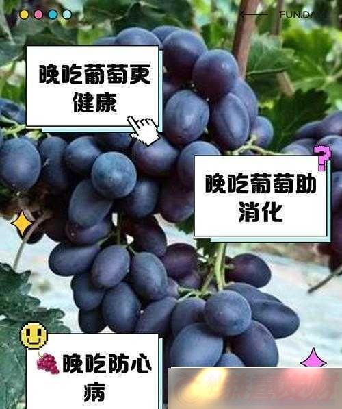 Ѳ׼ϼ飺ץ͵Ϊ
