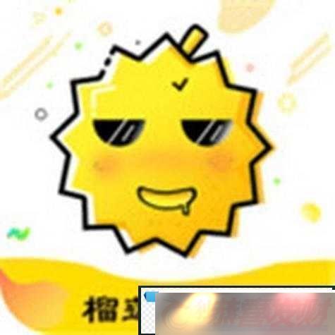 ˿ϲݮʯ