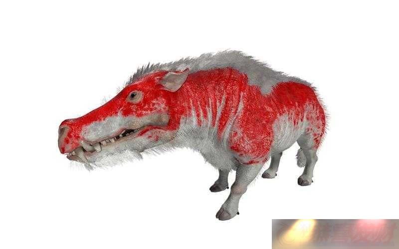 ׳gôץ