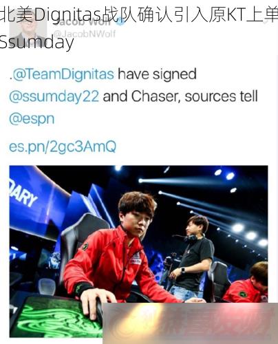 DignitasսȷԭKTϵSsumday
