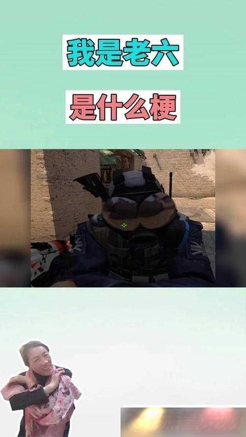 ΪＰ繣ľ庬