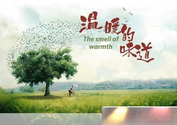 ʺϷ޿Ӿ磺ȻԣһЩʺϷ޹ۿӾ⽨飺