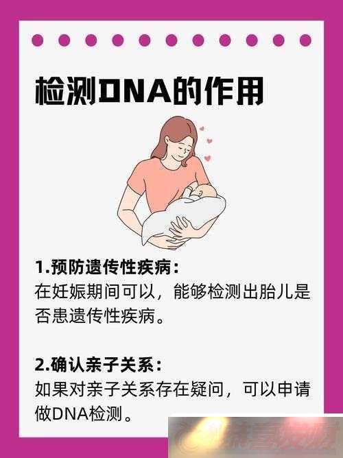ĸ-DNA-Ͷ-DNA-һ̽Ŵİ