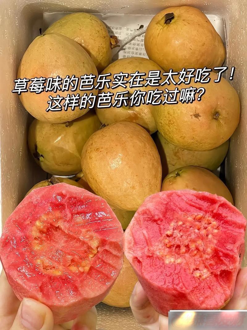 ݮVSͰ֣ļǿ-ЦĿƼʳԣ