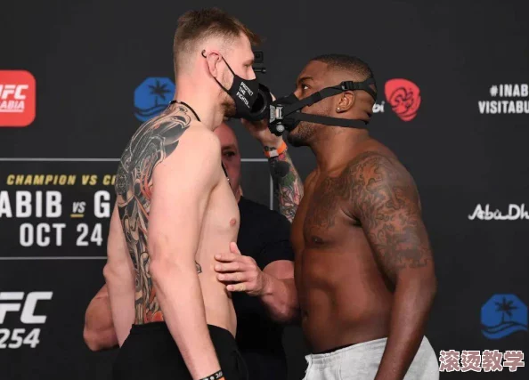 ׵UFC˽-ս綥ѡ-Ŀ¼