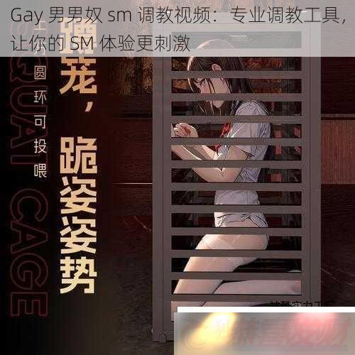 GayūsmƵרҵ̹SM̼