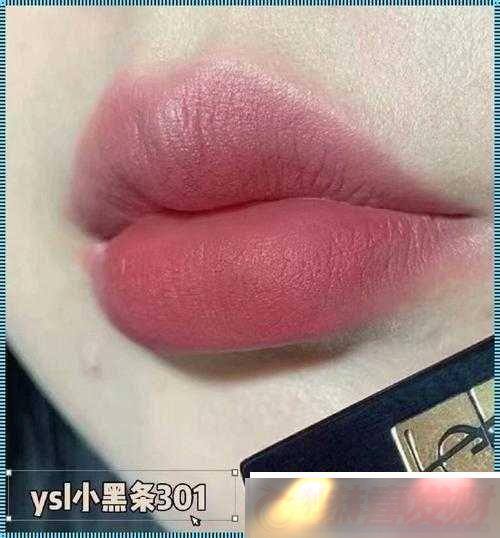 YSL-ں-1258ˮɫ