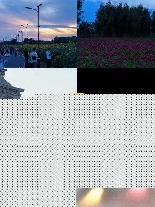www.ɫ̽Ѱ䱳Ϊ֪Ĺ