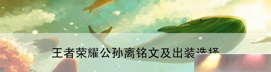 ҫļװѡ񣺷