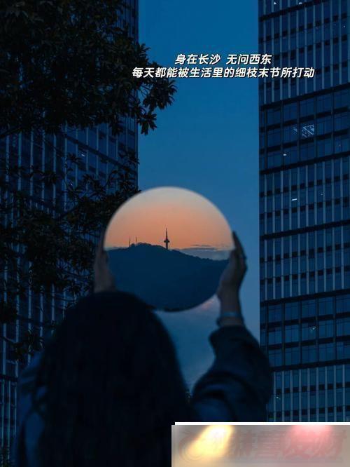 Ĺ콻㣺Ц̸ƼľԵ
