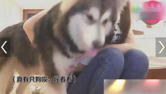 ˹սʵַ빷