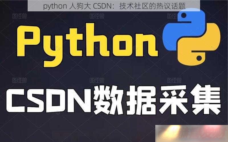 python-˹-CSDN黰