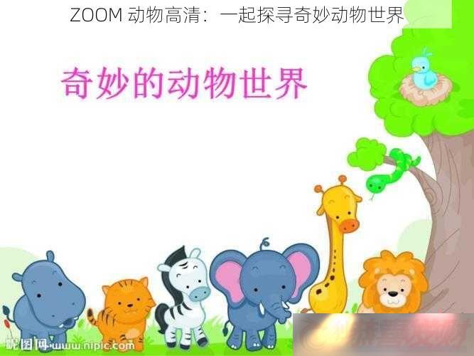 ZOOM-壺һ̽Ѱ