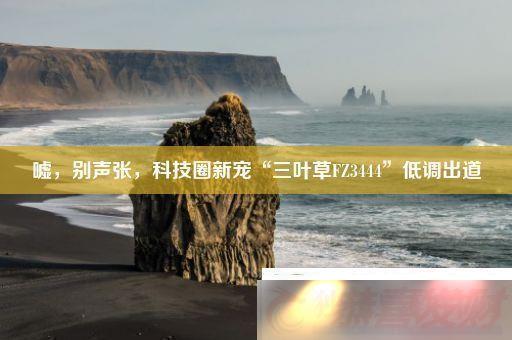 ſƼȦ³衰ҶFZ3444͵