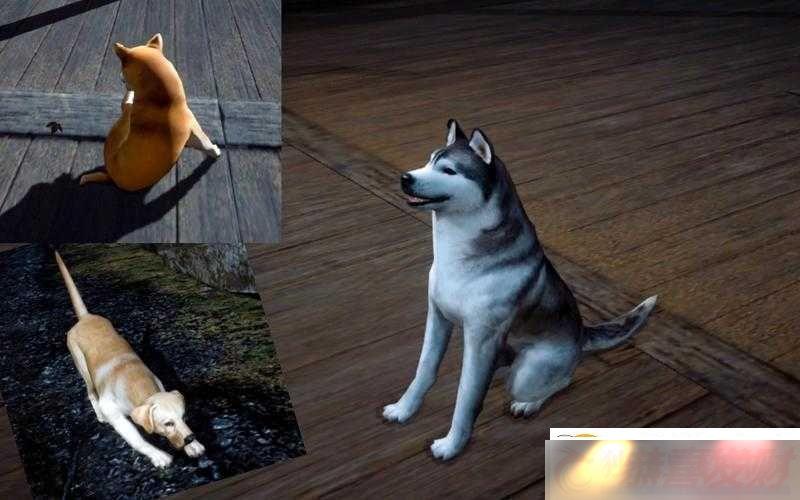 ѣֳѡָϣѡ˳ɰĹ