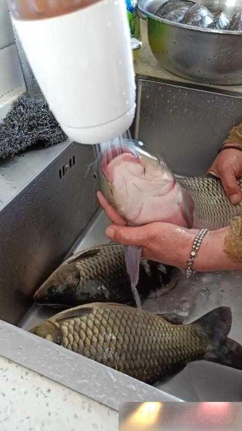 Ů˾ˮԶ