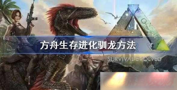 ץѱС