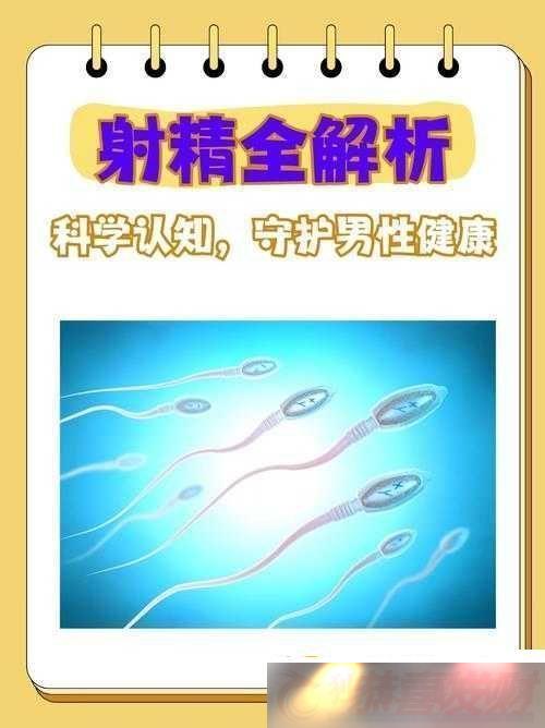 WWW߳Ķ̽