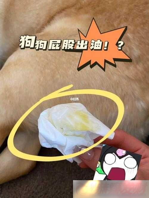 Ӳ̳δ