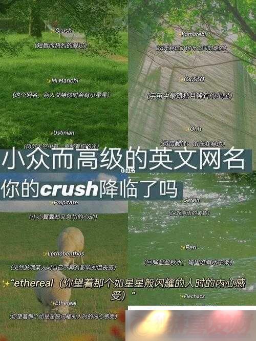 ʦӢ־ѡӢǳƼ