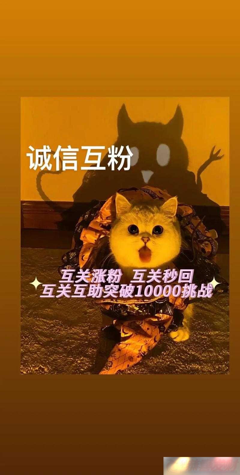 ϰսڹͻָϡͨؼ