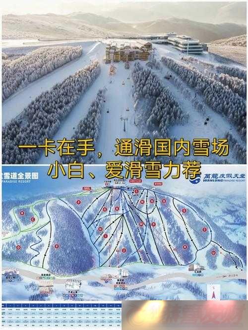-30-ֻ޽