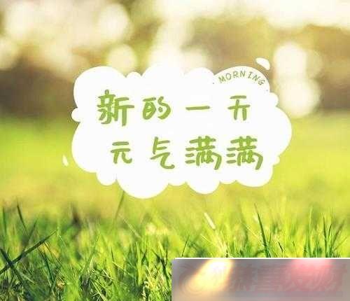 һװţ̺ѻ