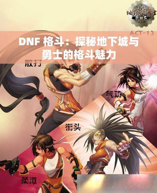 DNF-񶷣̽ص³ʿĸ
