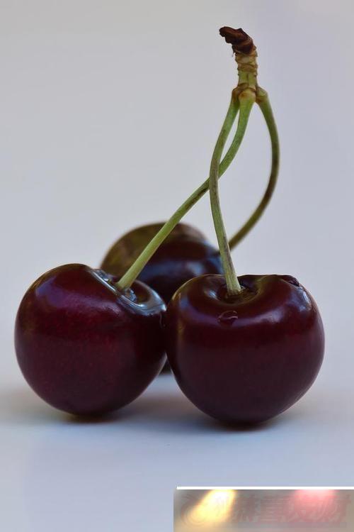 ۣӣҵġ˫Ը