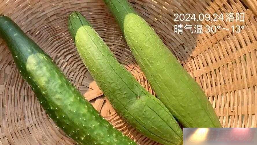 ѻƹ˿ϲݮȫ֮ζ߹