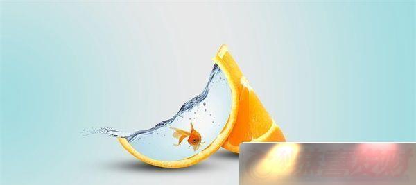 崿ճ