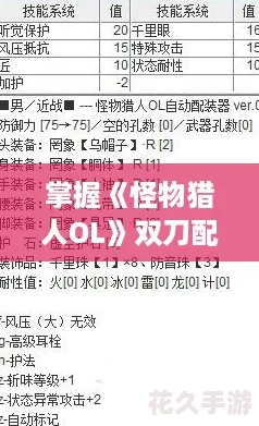 չOL˫װЧʵս淨