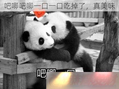 һһڳԵ-ζ