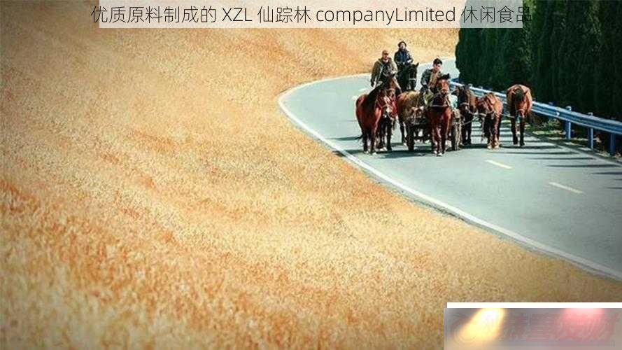 ԭƳɵXZLcompanyLimitedʳƷ