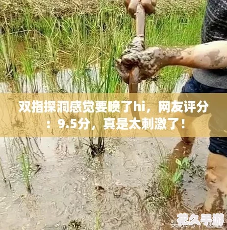 ˫ָ̽оҪhi-֣9.5-̫̼ˣ