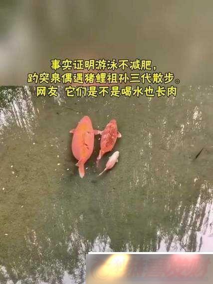 Ůˮͼȫ֮ϸ