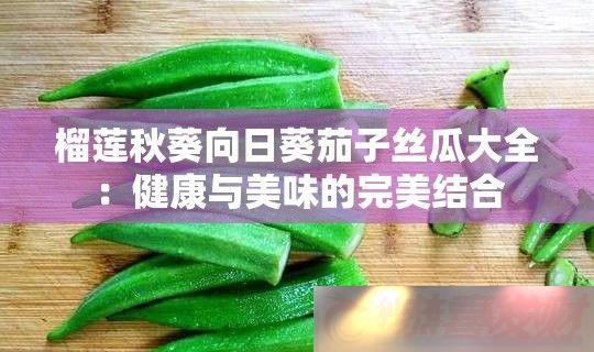 տ˿ϴȫζ