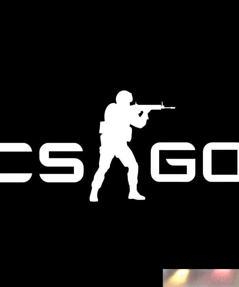 CS-GO-ȫ⣺ʵ
