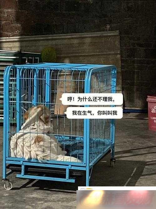ţ۲һƷĢƵ汾֮