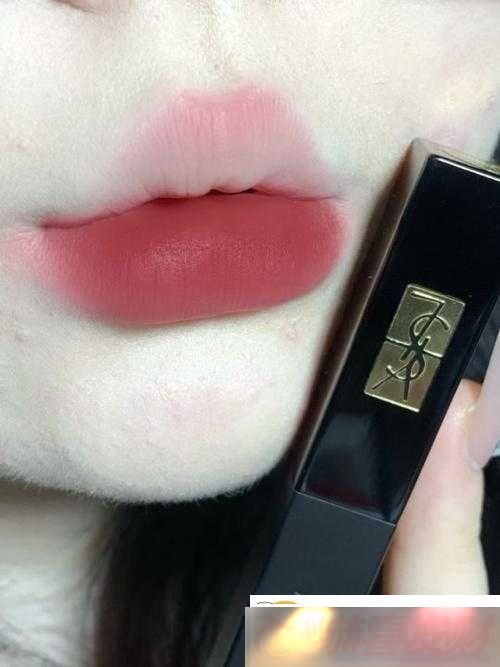 YSL-ɫ-88-Ϊ