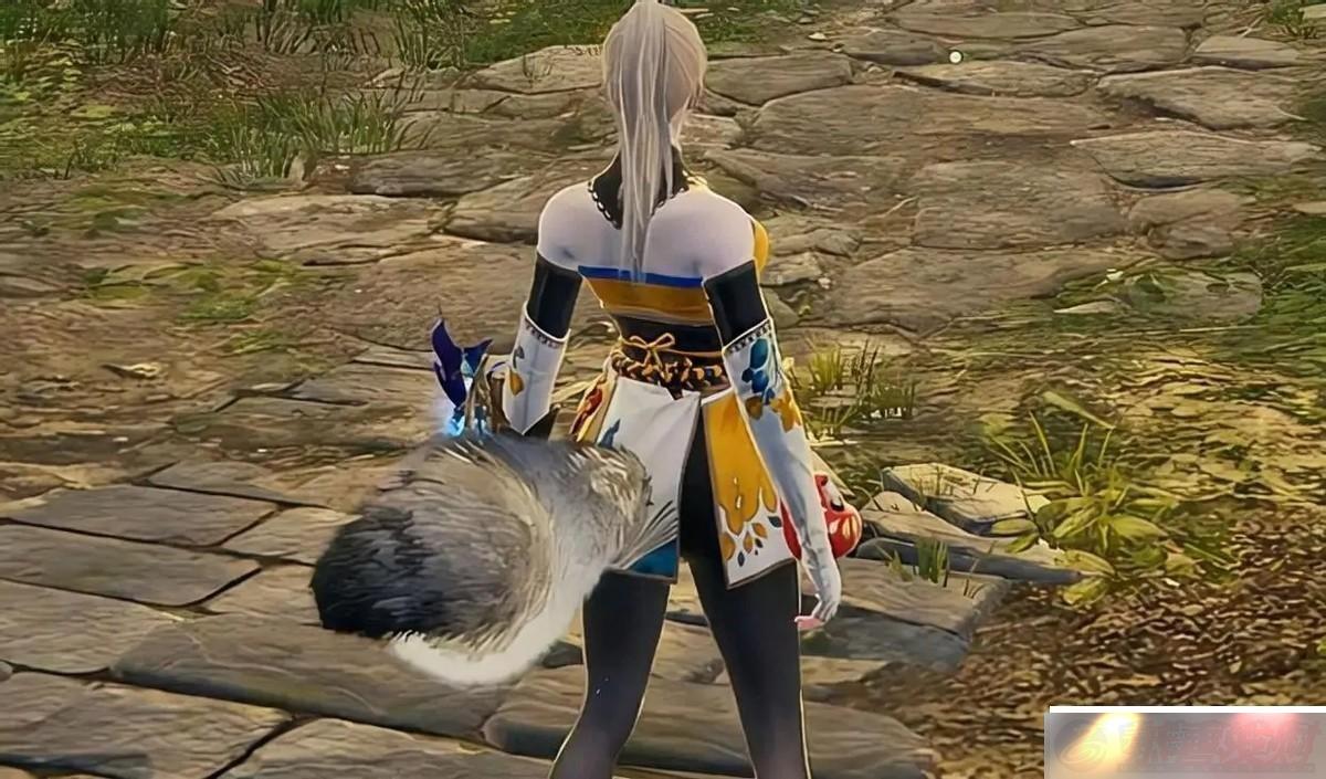 ޼츳ӵ㹥ԣɫʵϼɣ