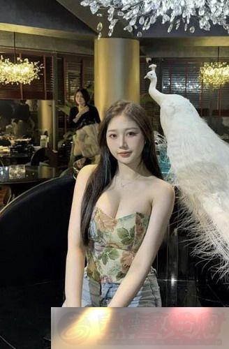 91鶹Ʒ?ھݿµլп񻶣˷ת
