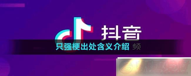 ֻǿʲô-ֻǿ