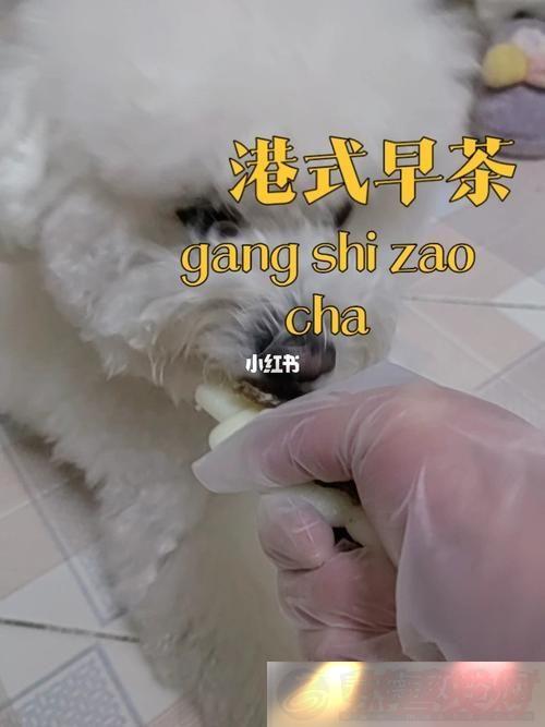 ζ˽䷽20ӵʳ